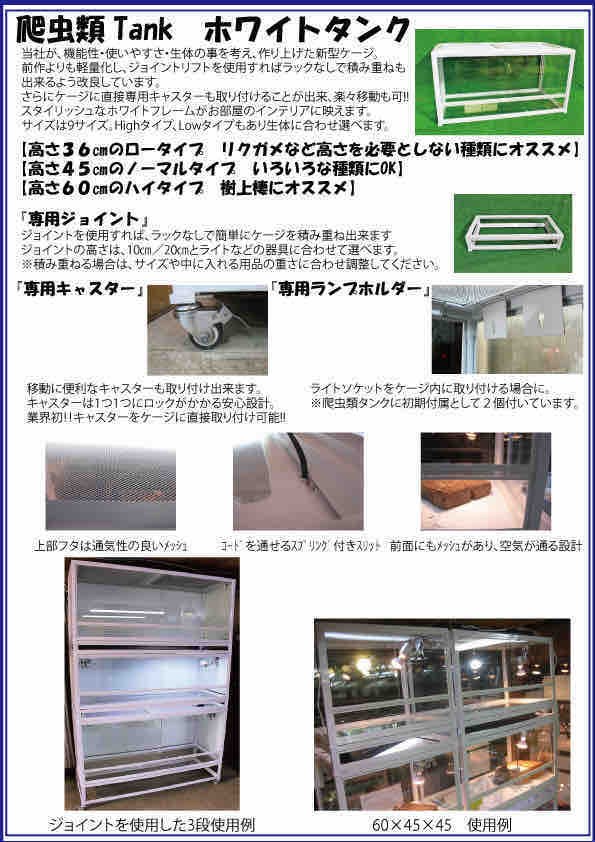 爬虫類TANKセールのお知らせ！！ : 爬虫類倶楽部