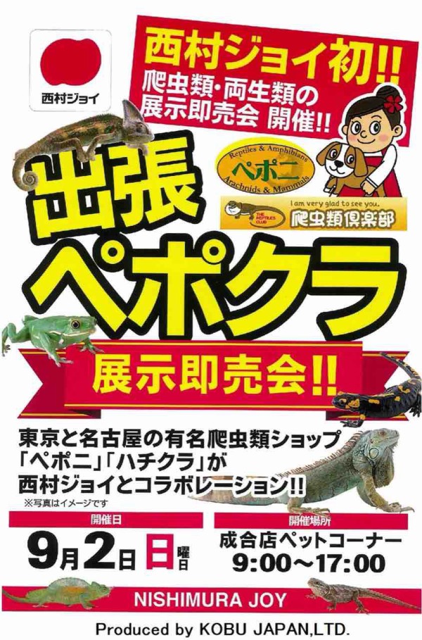 今週末はサービスデー イベント参加 開催予告 爬虫類倶楽部