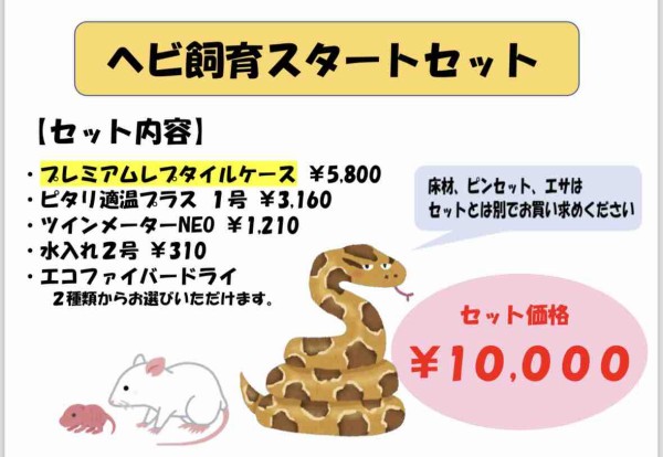 今年は巳年！ヘビ特化キャンペーン開催！！ : 爬虫類倶楽部