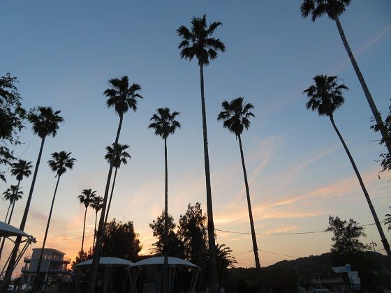 道の駅やす 海辺のオアシス 高知車中泊 愛犬ナナとハチコのワンダフルわん生 旅ブログ