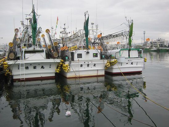 大中イカ釣り船団 解禁 おやじの塩辛作りも解禁 八戸館鼻漁港の船