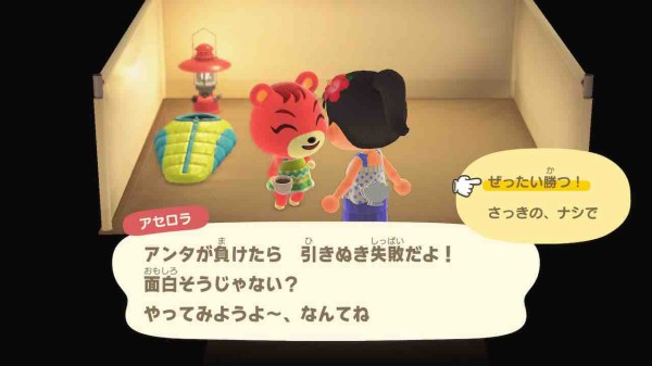 かわいい子たち あつ森日記 カエティ 箱入りゲーマー夫婦 かわいい子たち あつ森日記 カエティ 箱入りゲーマー夫婦