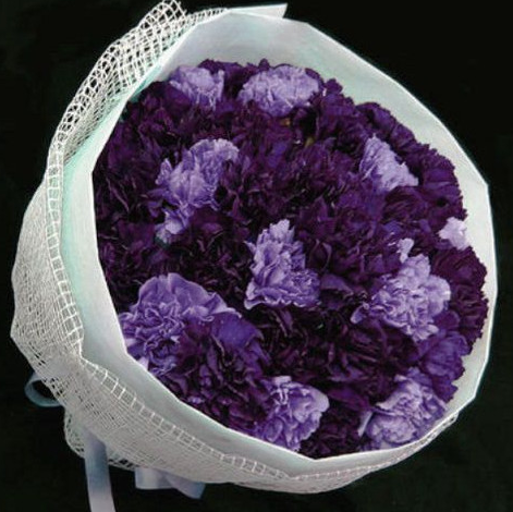 母の日15 花ギフトに 青いカーネーション ムーンダスト 花言葉は 永遠の幸福 が通販で 母の日 15 プレゼントランキング から カーネーション 人気の花を贈ろう