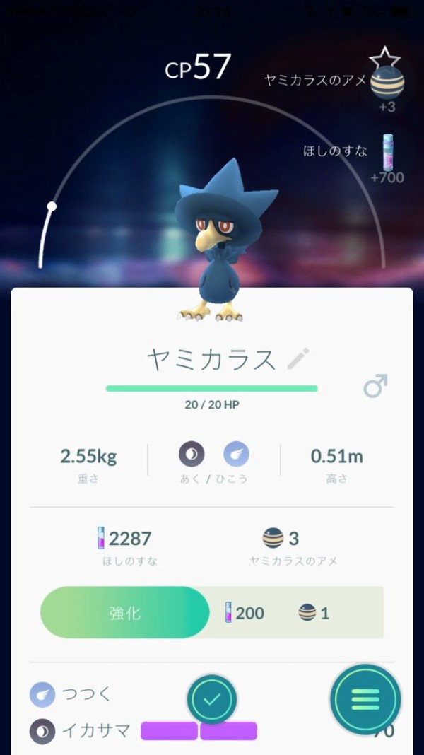 ニューポケモン入れ食い さ