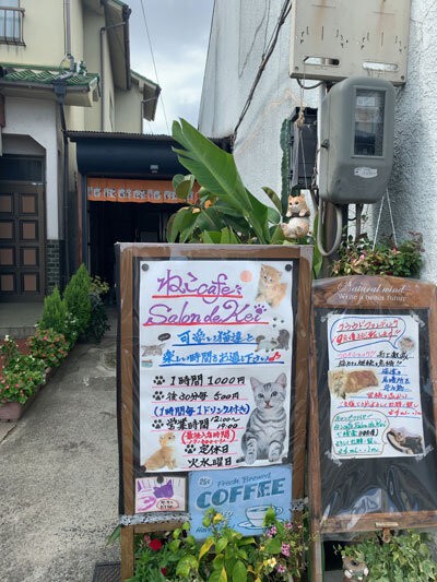 姫路 猫cafe Salon De Kei 安いネタ 旨いネタ 隠れ家ブログ 立呑み ま