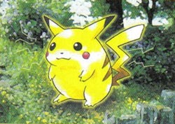 昔のピカチュウ ポケットモンスター 箱ダケ