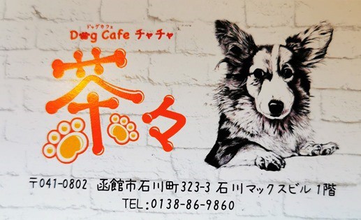 オープンしたdog Cafe 茶々 チャチャ でのランチは 気まぐれプレート 函館の飲み食い日記 Powered By ライブドアブログ