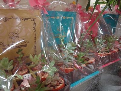 函館 フラワーショップ サクラダ イトーヨーカドー函館店 函館無限1up