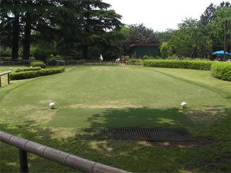 昭和記念公園パターゴルフ ハワイでゴルフを始めよう