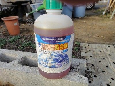石灰硫黄合剤 菊 庭 畑