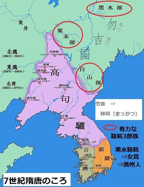 世界の山ウエブで放浪 その33 中国東北地方 4 長白山山脈 2 白山神駈道の風露草 白山神駈道の風露草 かみかけみちのふうろそう