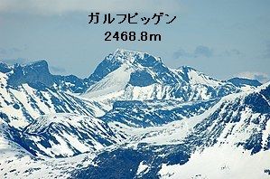 北欧に白山を探し求めて 白山探し世界の山ウエブで放浪 151 白山神駈道の風露草 白山神駈道の風露草 かみかけみちのふうろそう