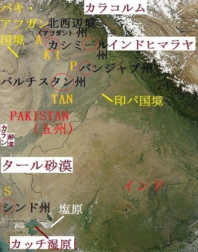 白い塩源の向こうの山 パキスタンに白山求めての旅 4 付録 白山探し世界の山ウエブで放浪 136 白山神駈道の風露草 白山神駈道の風露草 かみかけみちのふうろそう