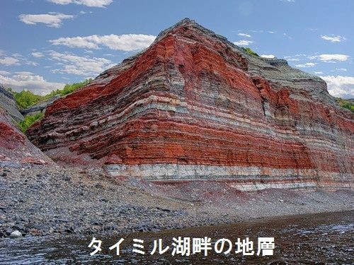 世界の山 ウェブで放浪 その10 シベリア連邦管区1 10月革命島 白山神駈道の風露草 白山神駈道の風露草 かみかけみちのふうろそう