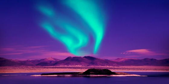 北極圏に白山を探し求めて 白山探し世界の山ウエブで放浪 152 白山神駈道の風露草 白山神駈道の風露草 かみかけみちのふうろそう