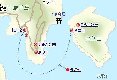 牡鹿半島半島潮風トレイル歩き 日本一周旅その五 東北太平洋沿岸旅 6 白山神駈道の風露草 白山神駈道の風露草 かみかけみちのふうろそう