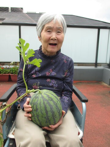 ミントユニット スイカの水やりに はくしま日記