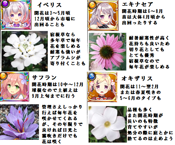 フラワーナイトガール攻略2chまとめ速報
