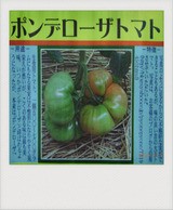 固有種 1 はるゆき野菜