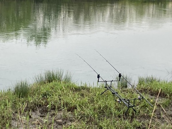 21年4月3日の釣果 揖斐川 のりおの吸い込みで巨鯉待つ