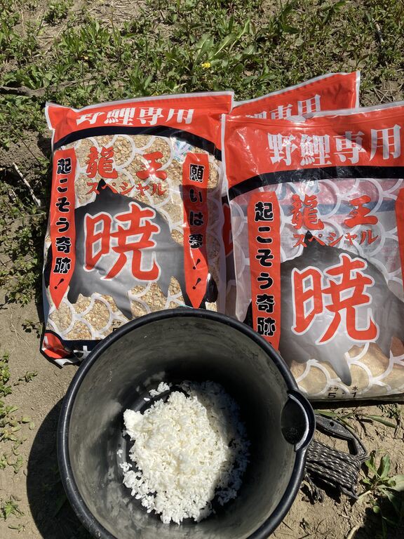 21年4月10日の釣果 牧田川 のりおの吸い込みで巨鯉待つ 21年4月10日の釣果 牧田川 のりおの吸い込みで巨鯉待つ