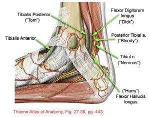 足底しびれ 足根管症候群を第一に 整形外科医のブログ