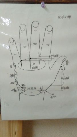 左手の甲 反射区 浜岡整体院
