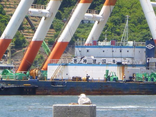 第18神海丸 : はみ男の日記（仮）