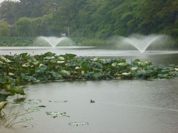 千秋トンネル : はみ男の日記（仮）