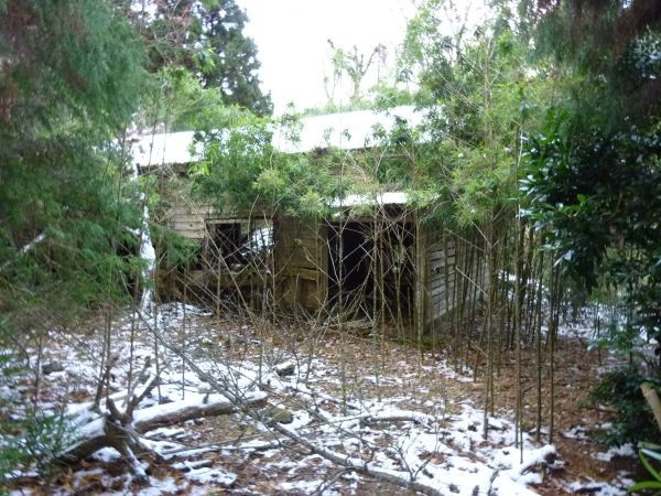 篠駄馬 はみ男の日記 仮