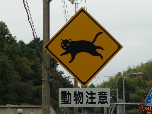 道路標識 動物注意 猫 はみ男の日記 仮