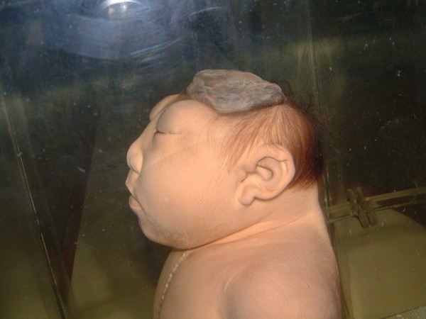 死体博物館 写真を見たい人用 Hammock Life ハンモックライフ 死体博物館 写真を見たい人用 Hammock Life ハンモックライフ