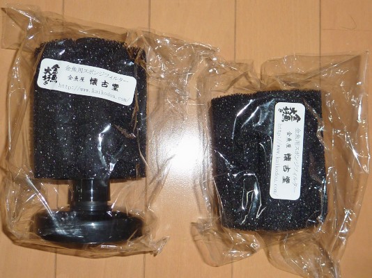 再度 スポフィルのみにした ハムオのパキポディウム実生日記