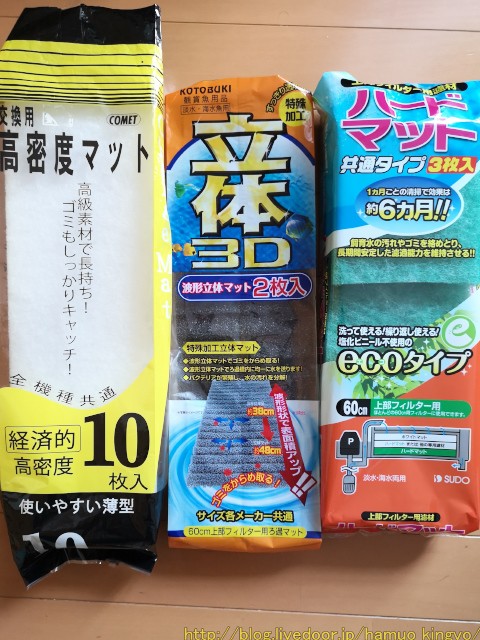 アクリル水槽導入 ハムオのパキポディウム実生日記