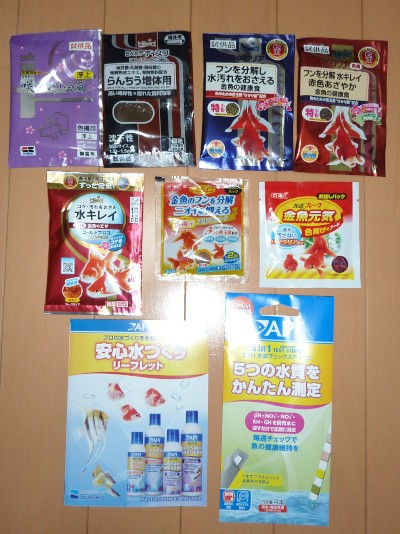 日本観賞魚フェアでもらった餌を試す ハムオのパキポディウム実生日記