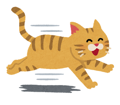 ハムスター速報 猫