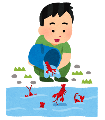 アメリカザリガニとミドリガメ 特定外来種新カテゴリー指定へ 輸入 販売 放出を禁ずるもペットとしては飼って良い模様 ハムスター速報