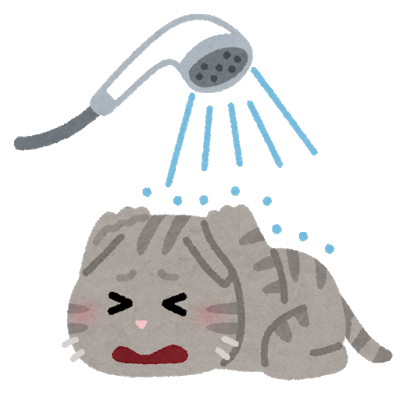 お風呂の給湯ボタンを押すとダッシュでやってきて見守る猫ｗｗｗｗｗｗｗｗｗｗｗ ハムスター速報