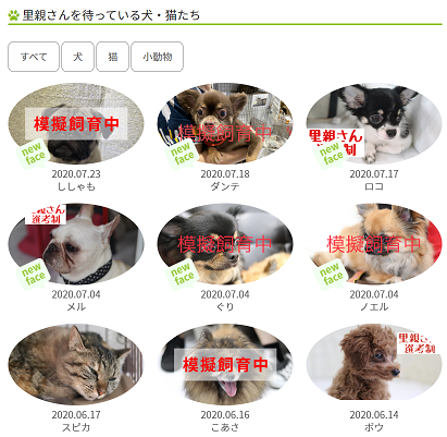 日本人 コロナ自粛期間中に安易にペットを購入 育てられずに犬を捨て保護施設送りに その理由が酷すぎると話題に ハムスター速報