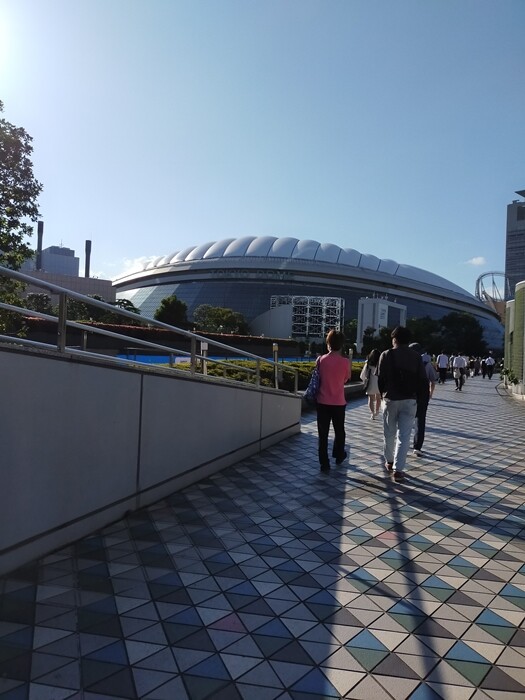 セ・パ交流戦2024＠東京ドーム】初めてのロイヤルウイング席✨お友達と