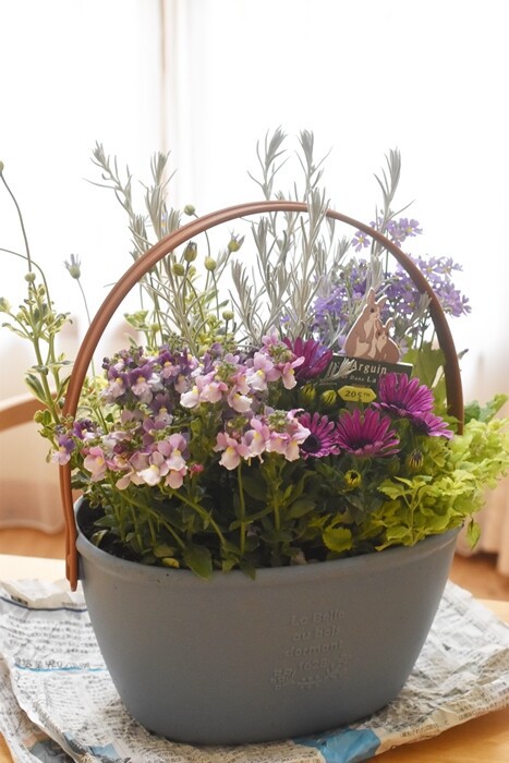 春の寄せ植え】「色も鉢も選べるお花セット」で玄関先を華やかに