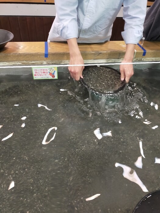 GW山梨帰省】身延町「甲斐黄金村・湯之奥金山博物館」で砂金採り
