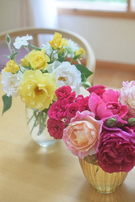 わが家のバラ バラに必要なもの 庭のバラを飾りました Happy Go Lucky 心地いい暮らしのコツ Powered By ライブドアブログ