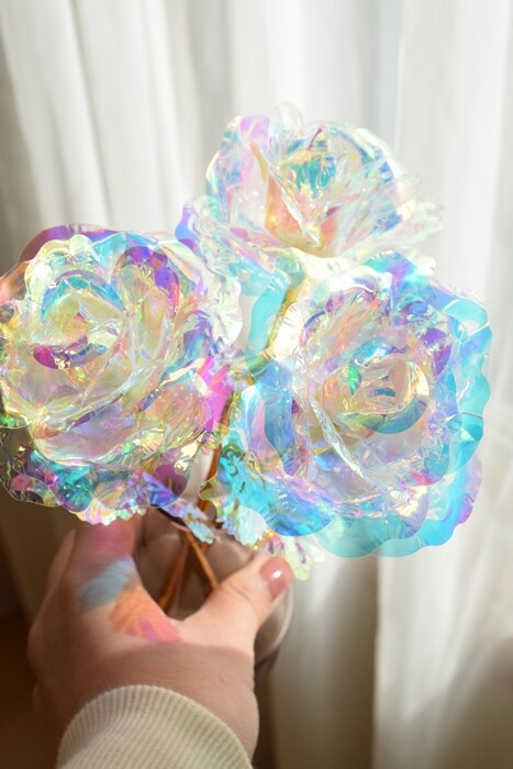 セリア】SNSで話題のオーロラローズを買いました♪（税込み110円