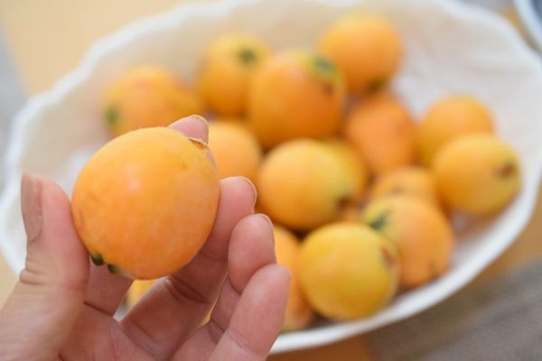 庭でカサブランカが満開 ゴージャスです 山梨の枇杷 Happy Go Lucky 心地いい暮らしのコツ Powered By ライブドアブログ 庭でカサブランカが満開 ゴージャスです 山梨の枇杷 Happy Go Lucky 心地いい暮らしのコツ Powered By ライブドアブログ