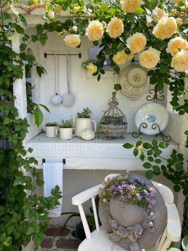 そら様専用 バラ咲きジュリアン寄せ植え イングリッシュローズの誘引