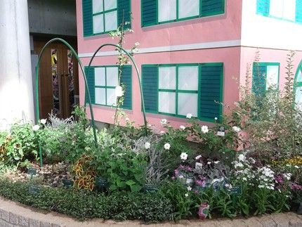 花の美術館 見頃の花 ９月２５日 千葉市花の美術館公式ブログ