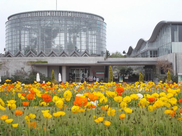 三陽ミュージアム 見頃の花 ４月６日 千葉市花の美術館公式ブログ