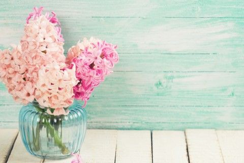 ヒヤシンス 風信子 の花言葉や名前 意味や由来 種類 品種は 花コンシェルジュ