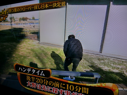 大野智の四つ葉のクローバーを探せ : はなの3104ごと